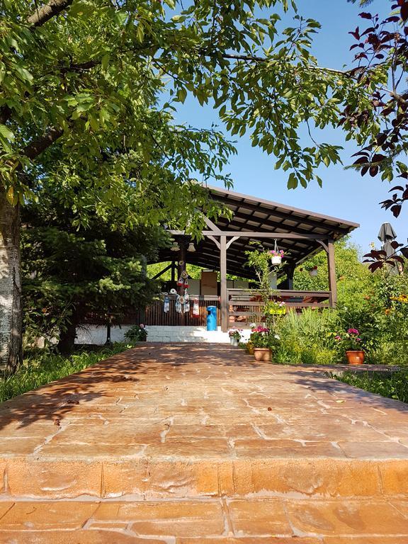 Camping Robinson Country Club Oradea Bagian luar foto