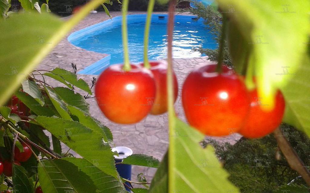 Camping Robinson Country Club Oradea Bagian luar foto
